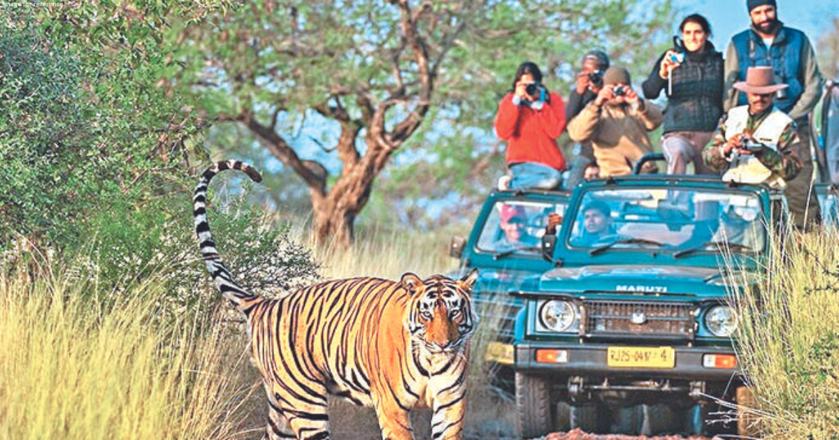 Hotel lobby in Ranthambore gets a jolt